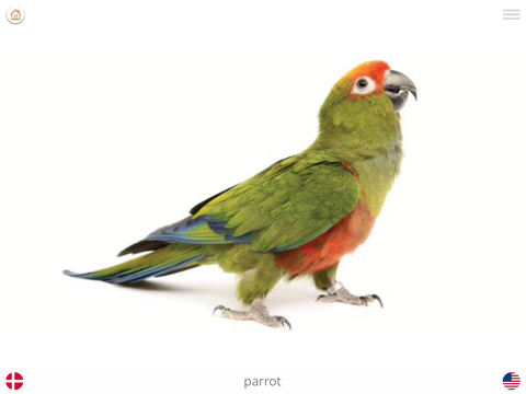 Play and Learn DANISH - náhled