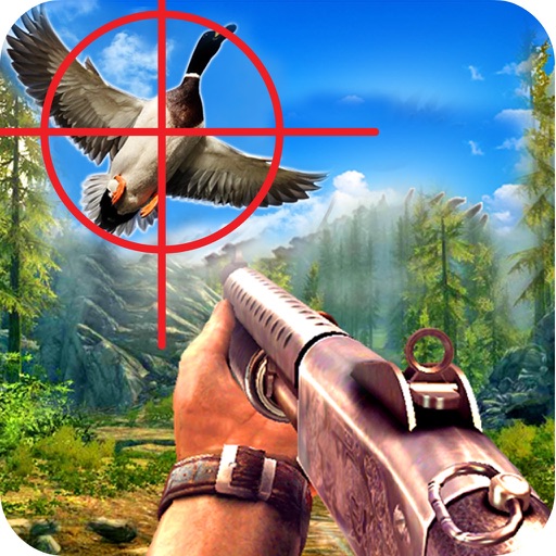 Duck Turkey Hunting Simulation