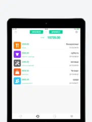 nextcost - Мои расходы,Кошелек айпад изображения 2