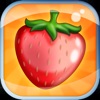 Fruit Memory FX3X