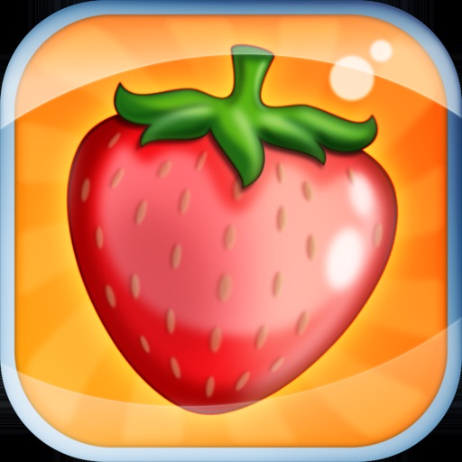 Fruit Memory FX3X