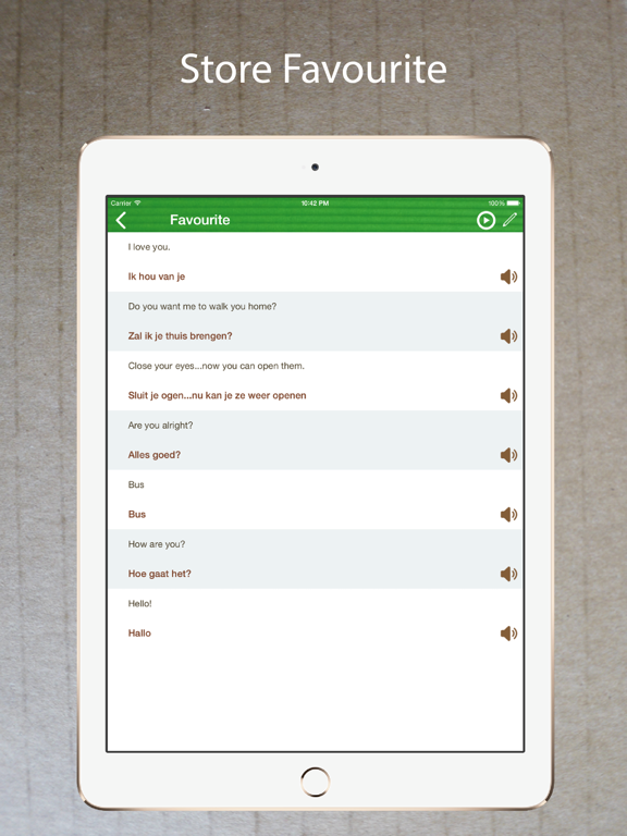 Learn Dutch Phrasebook Offline iPad screenshot 4 - Education app