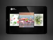 spot the difference xxl ipad resimleri 2