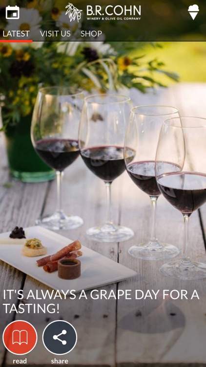 B.R.Cohn screenshot-3