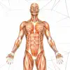 Similar Anatomy AR book Apps