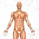 Anatomy AR book App Positive Reviews
