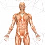 Anatomy AR book app download