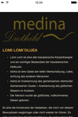 DIETHILD MEDINA screenshot 4