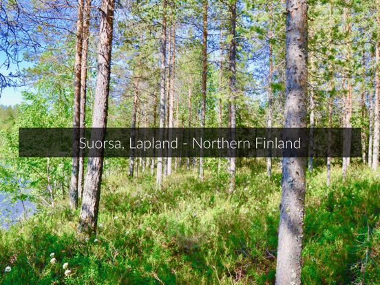 Screenshot #6 pour Walk In Finland