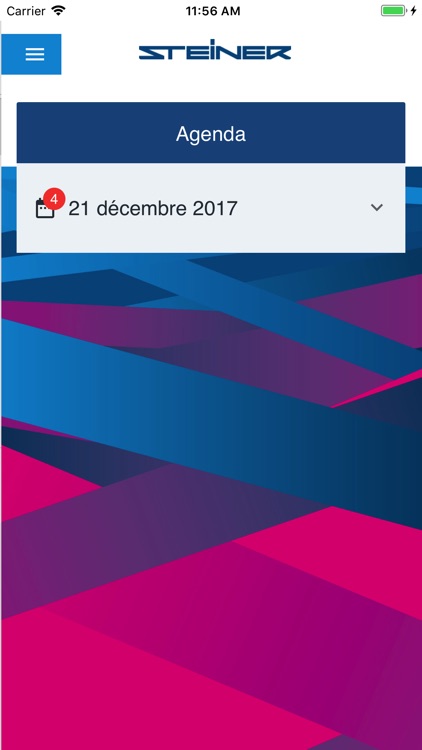 STEINER Conference application screenshot-3