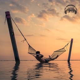 Best Relaxing Nature Scenes