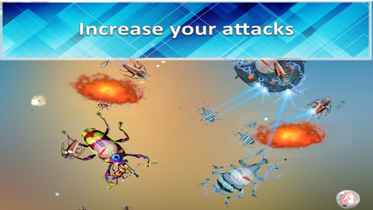 Battles of Beetles - Bosses clash !