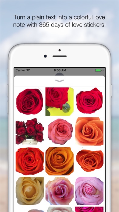 365 Days of Love Rose Stickers screenshot 2