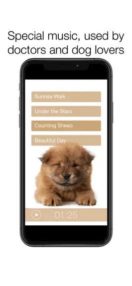 Game screenshot Dog Dreams relax with your dog apk