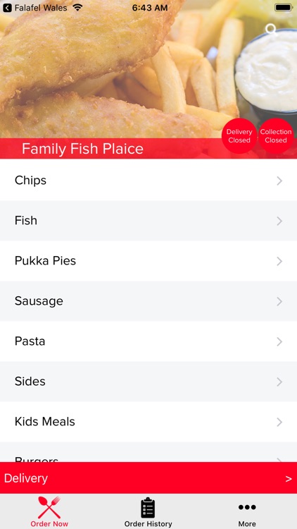 Family Fish Plaice