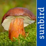 Mushroom Guide British Isles App Positive Reviews