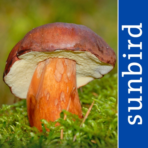 Mushroom Guide British Isles icon