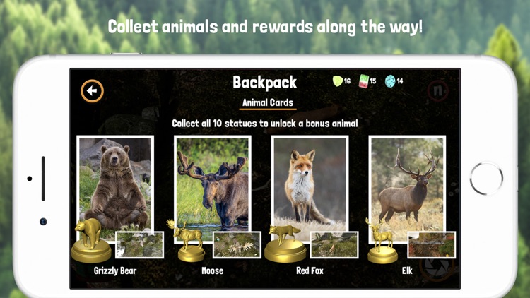 Wild & Seek AR screenshot-4