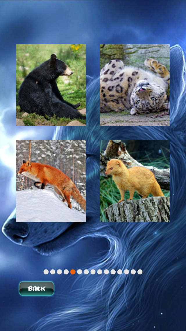 Animals Jigsaw Puzzle