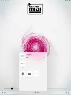 GM MIDI Player iPad image 2