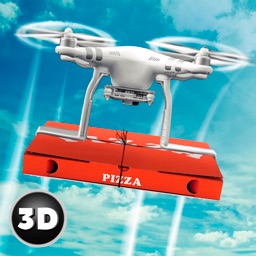 RC Drone Pizza Delivery Flight Simulator