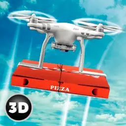 RC Drone Pizza Delivery Flight Simulator app icon