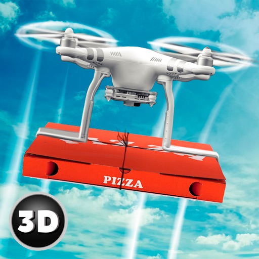 RC Drone Pizza Delivery Flight Simulator