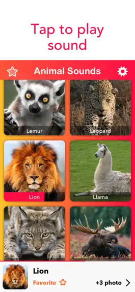Game screenshot 2018 Animal Sounds: Zoo, Growl apk