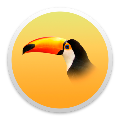 Toucan 6: calendar + todo Mac OS X