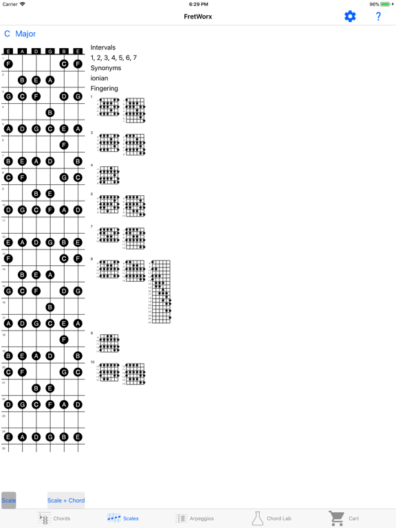 FretWorx iPad screenshot 2 - Music app