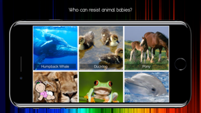 Baby Touch screenshot