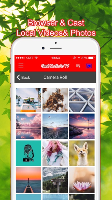 Cast Video & Photo to TV screenshot 3