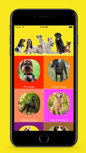 Best Dog Sounds