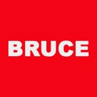 BRUCE - Mobile Sales Force