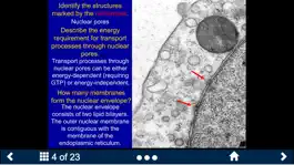 Game screenshot Histology - Basic Tissues hack