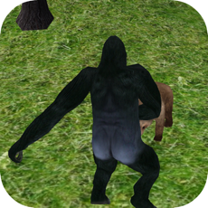 Activities of Wild Gorilla Sim