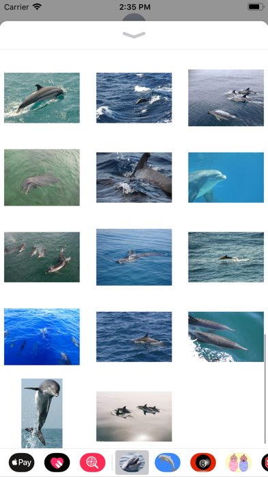 Wild Dolphin Sticker Pack screenshot 4