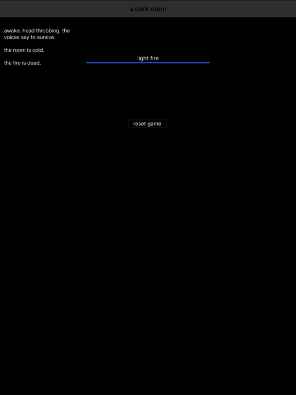 A Dark Room на iPad