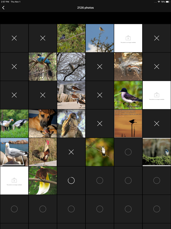 Dict-o-saurus Rex iPad screenshot 6 - Reference app