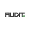 Audit GO