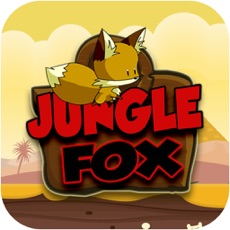 Activities of Jungle Fox Adventure