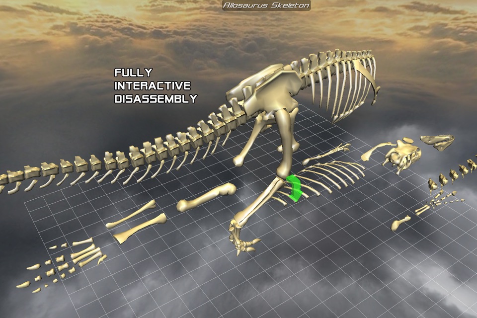 Body Disassembly 3D screenshot 3