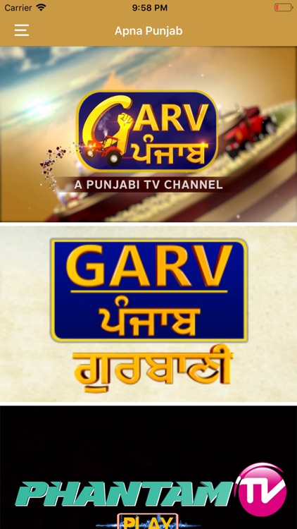 Apna Punjab TV