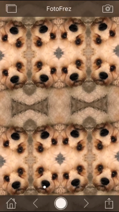 Sensory FotoFrez - Fun Fotos iPhone screenshot 8 - Photo & Video app