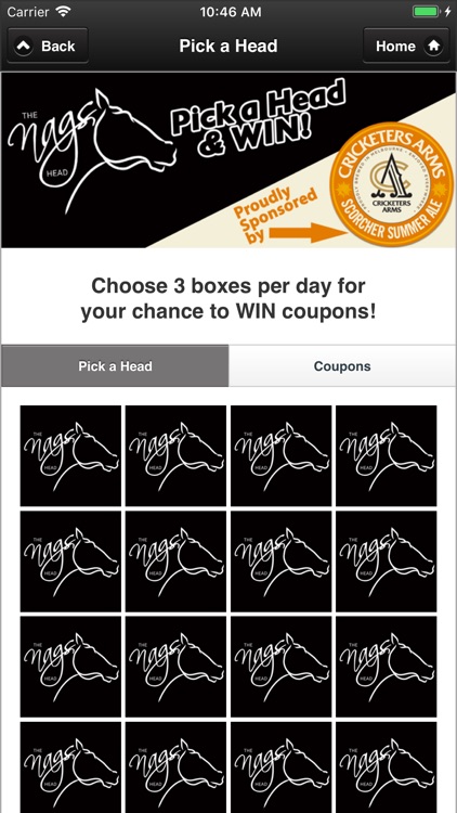 The Nags Head Hotel screenshot-3