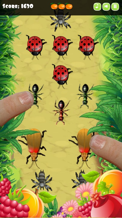 Insect Smasher for Kids