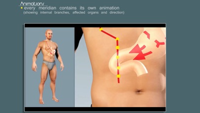 Screenshot #3 pour Easy Acupuncture 3D - LITE