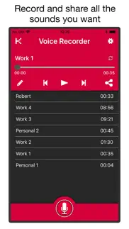 voice & audio recorder pro айфон картинки 1