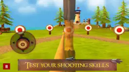 Game screenshot Hit Bow Cup:Archery Master 3D apk