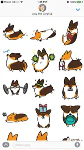 Tricolor Corgimoji screenshot #5 for iPhone